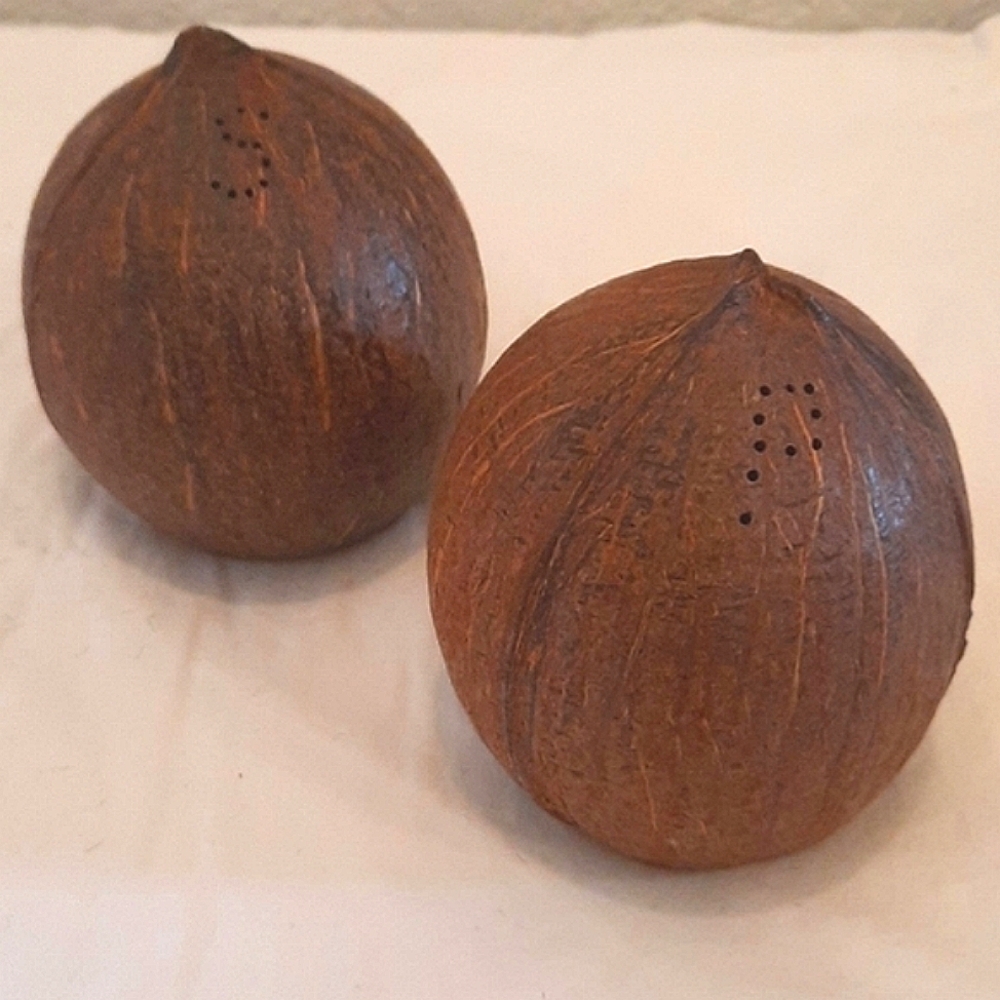 Coconut salt and pepper shakers